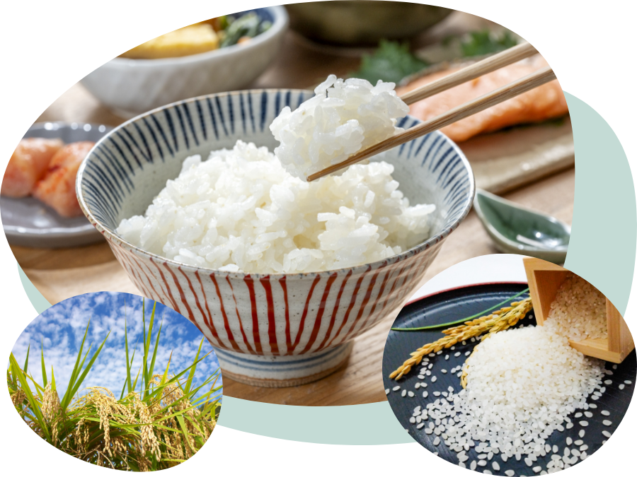 米-RICE-