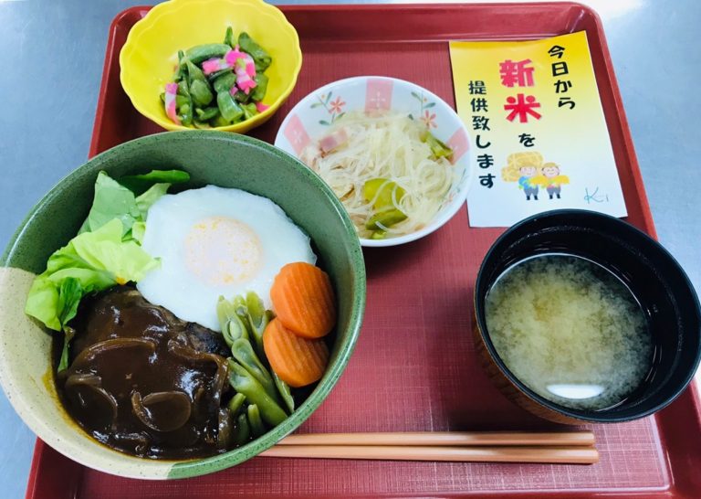 ロコモコ丼